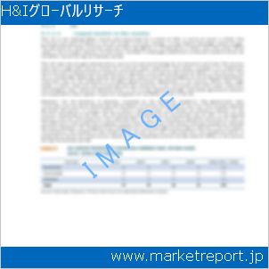 市場と産業調査レポートのイメージ